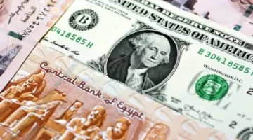 هل يقترب الدولار من حاجز 50 جنيهًا في مصر خلال تعاملات الاثنين؟